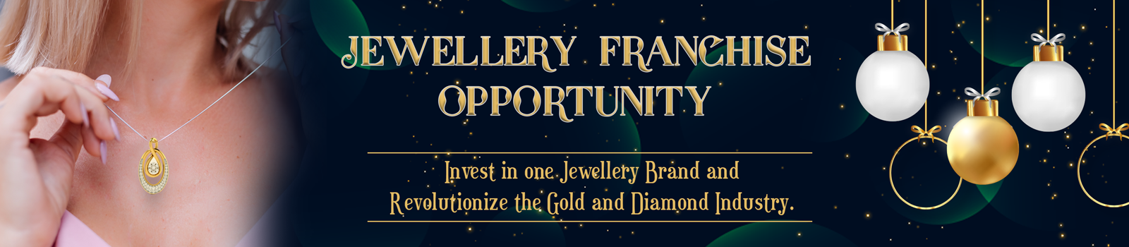 Franchise main banner